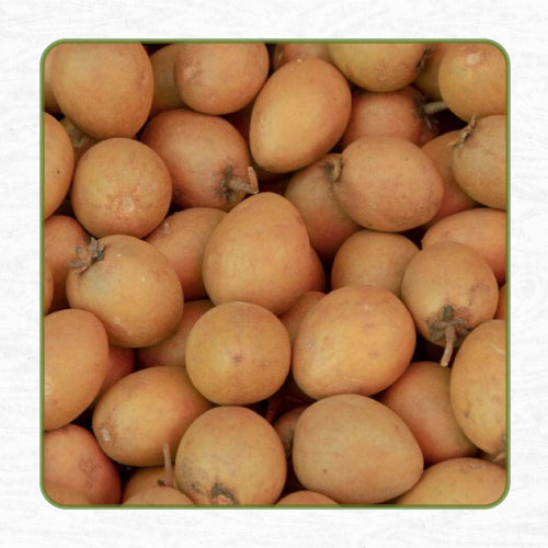 Dehydrated Chickoo Powder